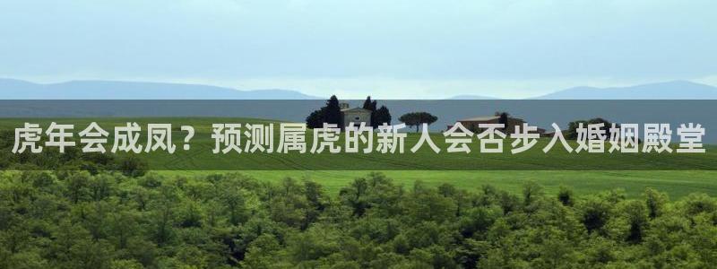 U8国际4平台：虎年会成凤？预测属虎的新人会否步入婚姻殿堂