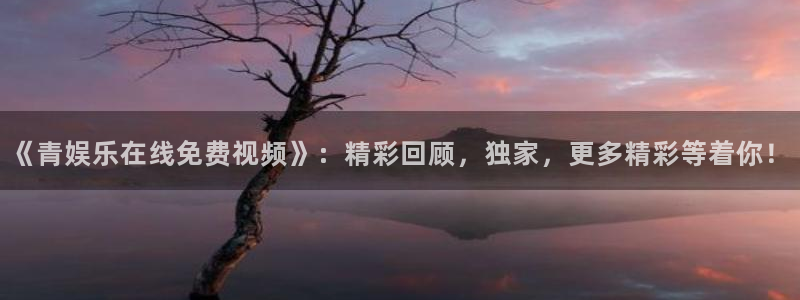 U8国际4平台