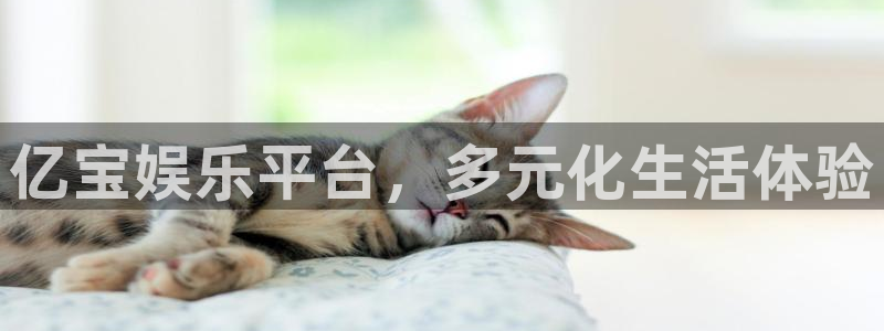 U8国际4平台注册：亿宝娱乐平台，多元化生活体验
