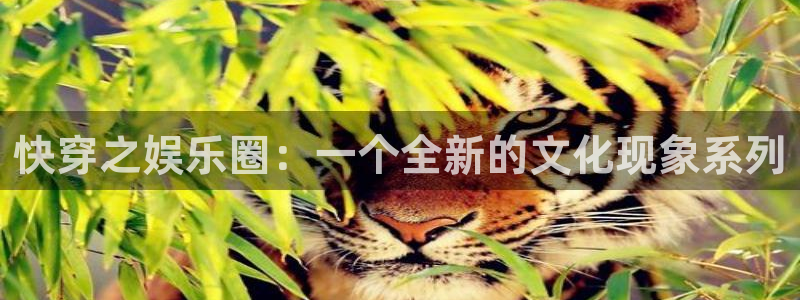 U8国际3平台登录注册：快穿之娱乐圈：一个全新的文化现象系列