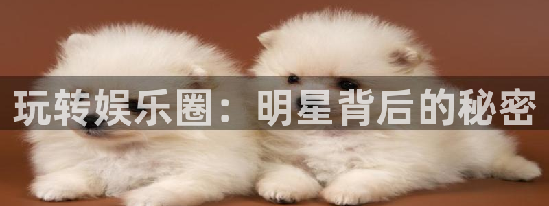 U8国际：玩转娱乐圈：明星背后的秘密
