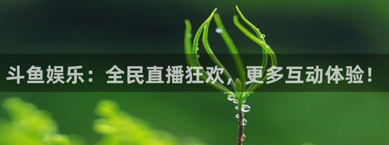 U8国际平台官网：斗鱼娱乐：全民直播狂欢，更多互动体验！