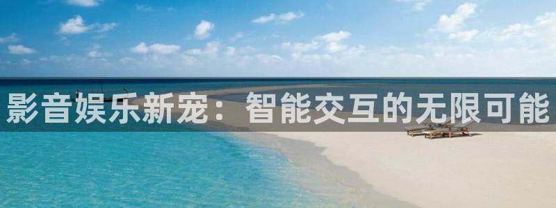 成都U8国际电子有限公司：影音娱乐新宠：智能交互的无限可能