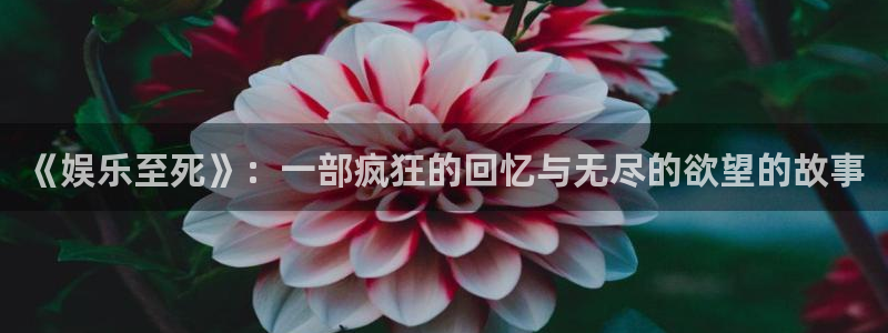 U8国际平台主管：《娱乐至死》：一部疯狂的回忆与无尽的欲望的故事