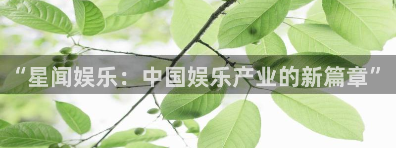 U8国际k：“星闻娱乐：中国娱乐产业的新篇章”