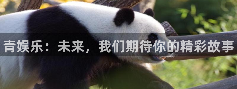 U8国际体育2：青娱乐：未来，我们期待你的精彩故事
