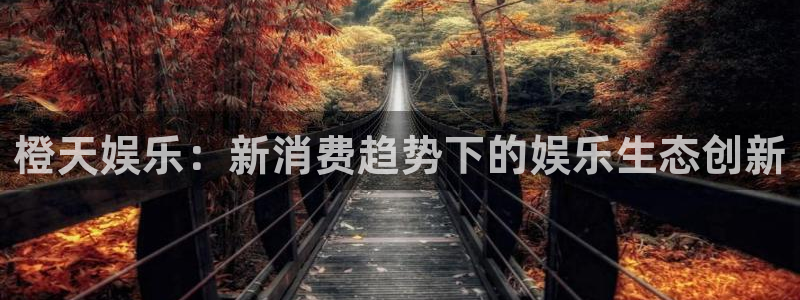 U8国际招商：橙天娱乐：新消费趋势下的娱乐生态创新