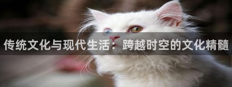U8国际体育3：传统文化与现代生活：跨越时空的文化精髓