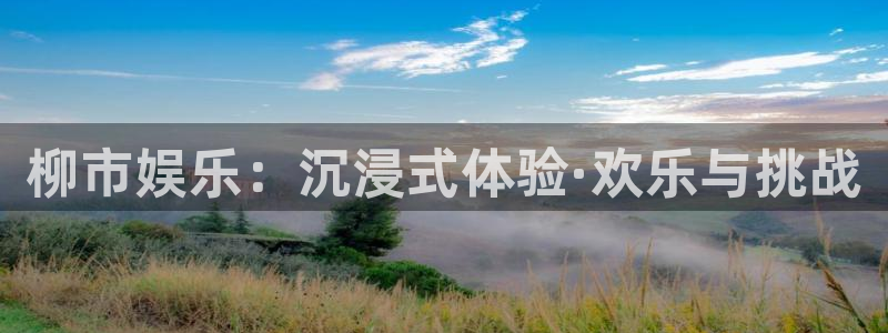 U8国际平台总代理：柳市娱乐：沉浸式体验·欢乐与挑战