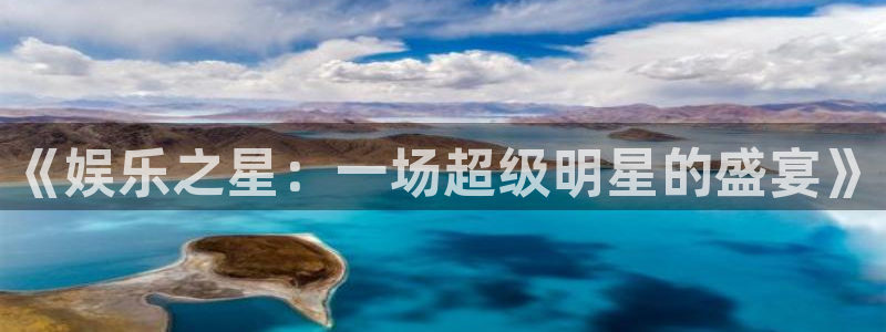 U8国际2登录地址：《娱乐之星：一场超级明星的盛宴》
