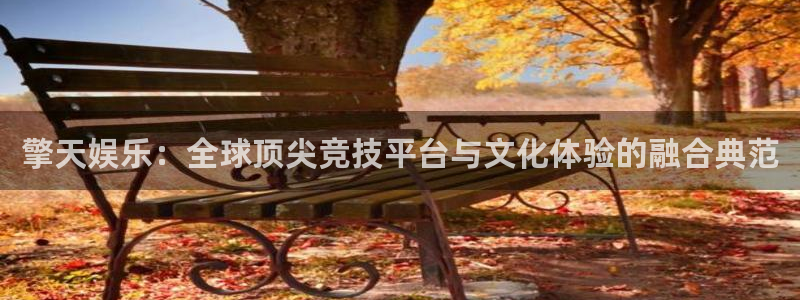 U8国际5注册：擎天娱乐：全球顶尖竞技平台与文化体验的融合典范