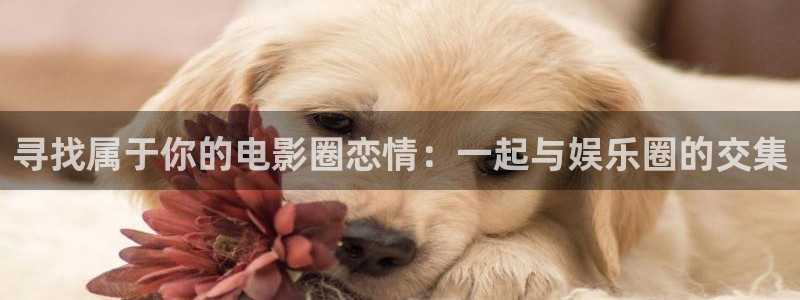 U8国际体育3在线注册：寻找属于你的电影圈恋情：一起与娱乐圈的交集