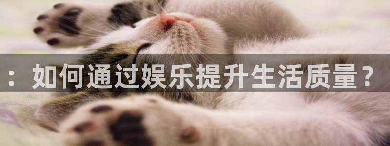 U8国际2登录：：如何通过娱乐提升生活质量？