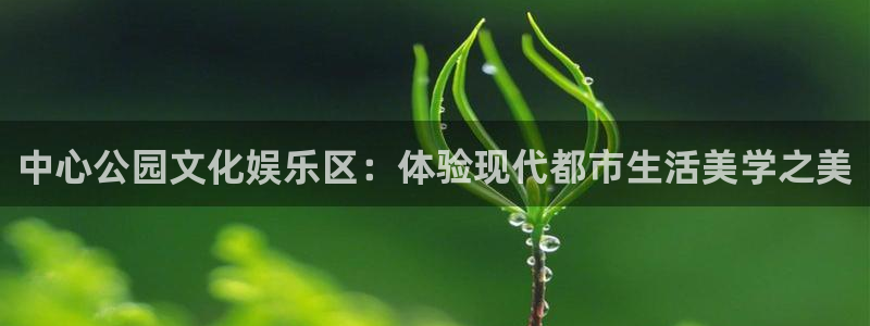 U8国际登录界面入口：中心公园文化娱乐区：体验现代都市生活美学之美