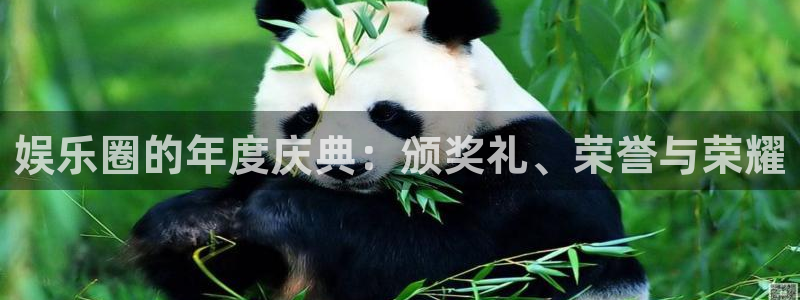 U8国际体育官网登录：娱乐圈的年度庆典：颁奖礼、荣誉与荣耀