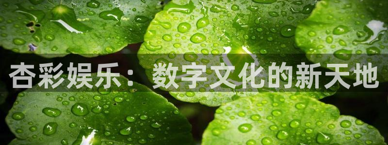 U8国际体育注册：杏彩娱乐：数字文化的新天地