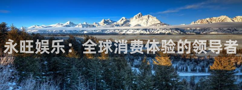 U8国际2官网：永旺娱乐：全球消费体验的领导者