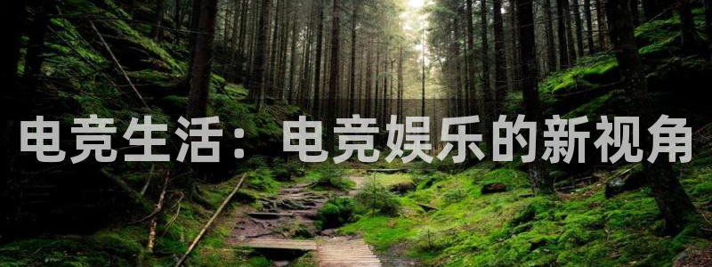 U8国际2登录地址：电竞生活：电竞娱乐的新视角