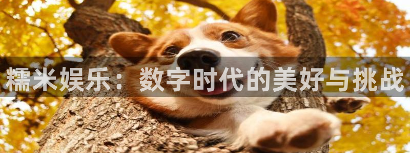 U8国际体育：糯米娱乐：数字时代的美好与挑战