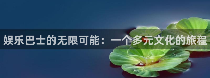 U8国际2平台：娱乐巴士的无限可能：一个多元文化的旅程