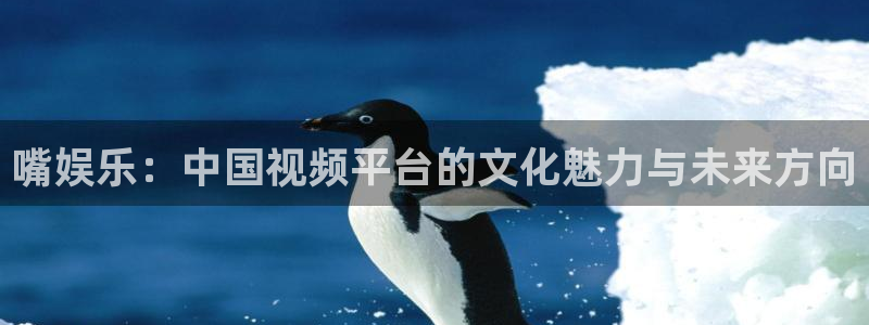 U8国际体育注册代理：嘴娱乐：中国视频平台的文化魅力与未来方向