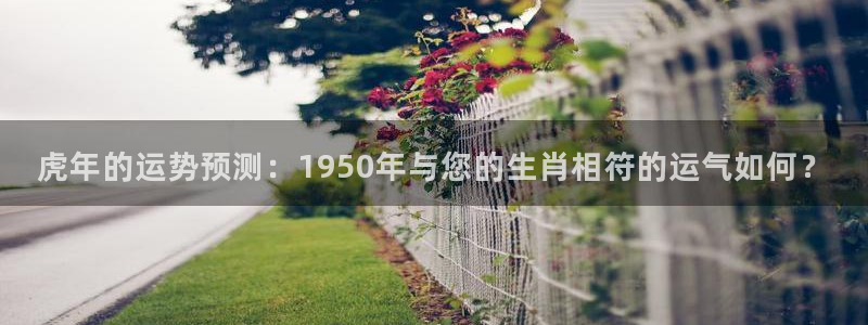 U8国际体育代理：虎年的运势预测：1950年与您的生肖相符的运气如何？