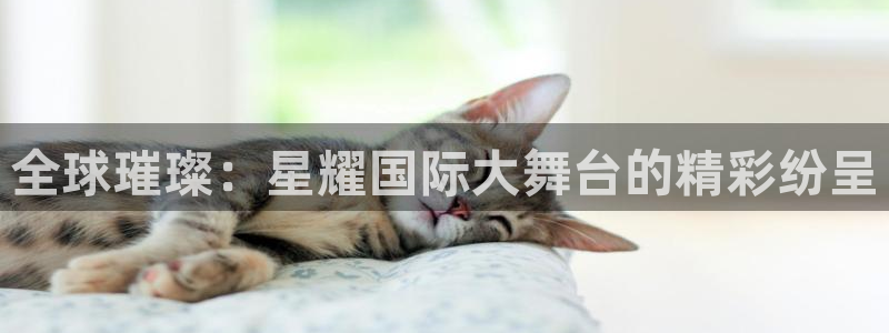 U8国际登录界面入口：全球璀璨：星耀国际大舞台的精彩纷呈