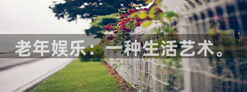 U8国际体育注册平台：老年娱乐：一种生活艺术。