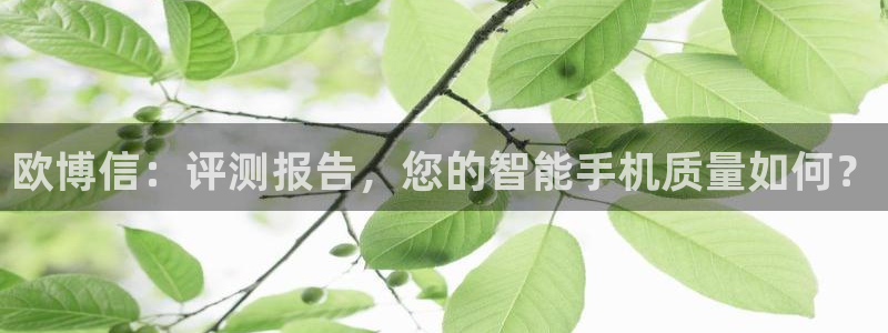 U8国际体育官网入口登录：欧博信：评测报告，您的智能手机质量如何？