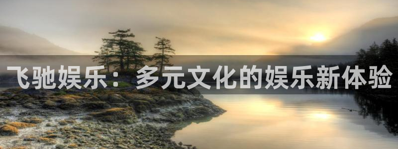 U8国际：飞驰娱乐：多元文化的娱乐新体验