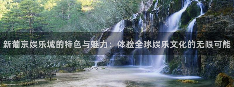 U8国际主管：新葡京娱乐城的特色与魅力：体验全球娱乐文化的无限可能