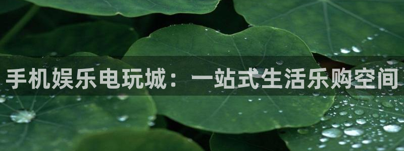 U8国际f凯捷平台在线注册：手机娱乐电玩城：一站式生活乐购空间