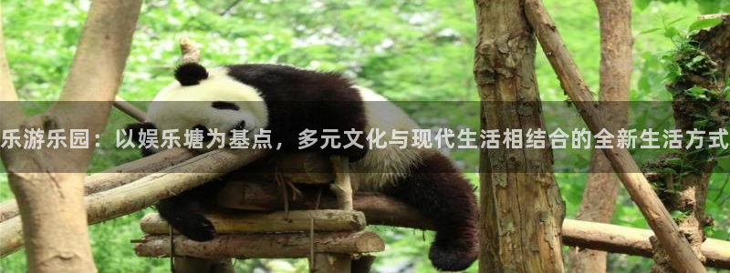 U8国际环保：乐游乐园：以娱乐塘为基点，多元文化与现代生活相结合的全新生活方式